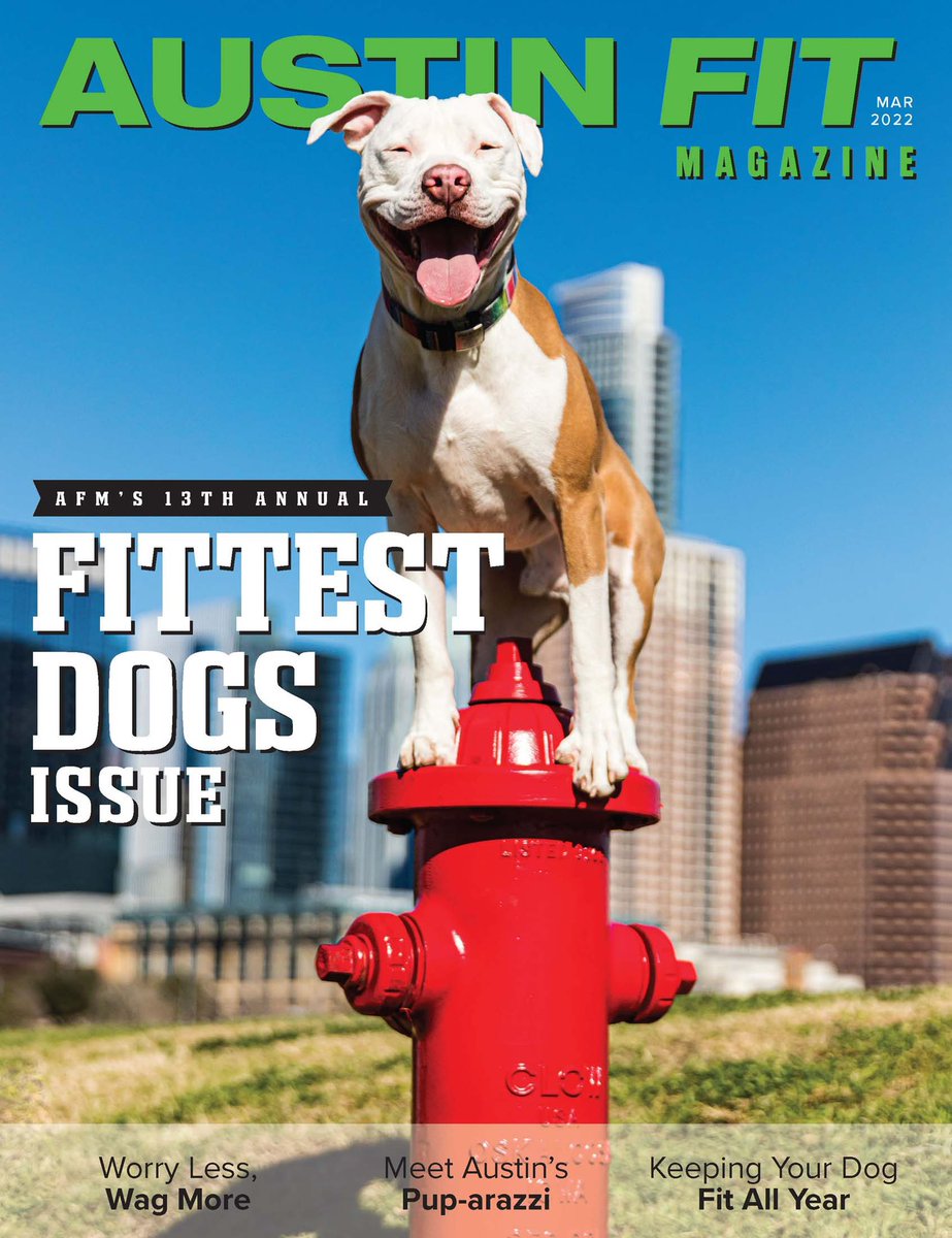 AustinFit's tweet photo. Who let the dogs out?! 🐶
The wait is over, our 13th annual Fittest Dogs Issue is out! In this issue you’ll meet our top 10 fittest dogs, these pups will capture your heart! Along with this, we’ve got loads of pup-related content. 🐾
#fittestdogs #dogsofatx https://t.co/wkg1g0SoPn