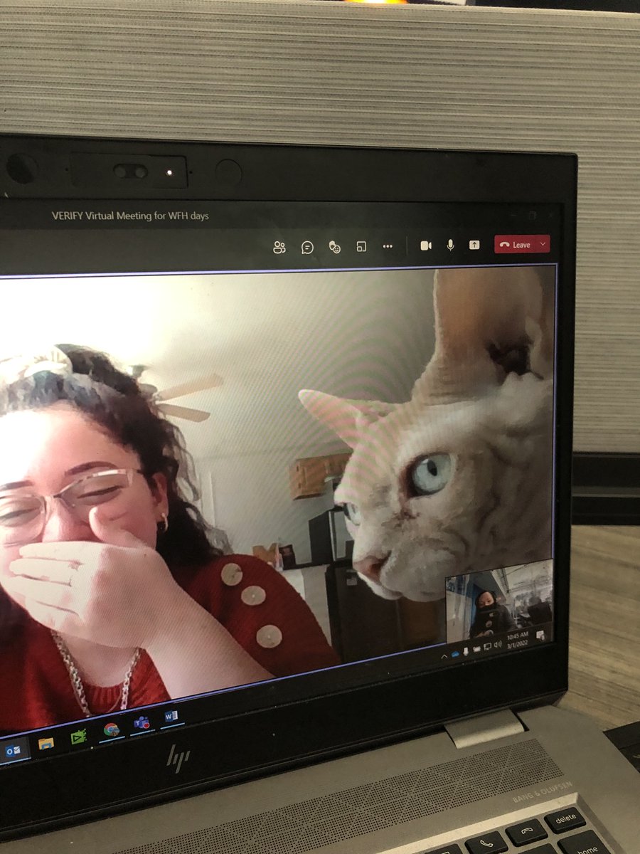 srgahagan's tweet photo. Are you even working from home if you don't have at least one pet photo bomb on your Zoom? BTW - All pets have been made equal members of my team by now. Expect their formal reviews later this month. https://t.co/QGTmDTCVmR