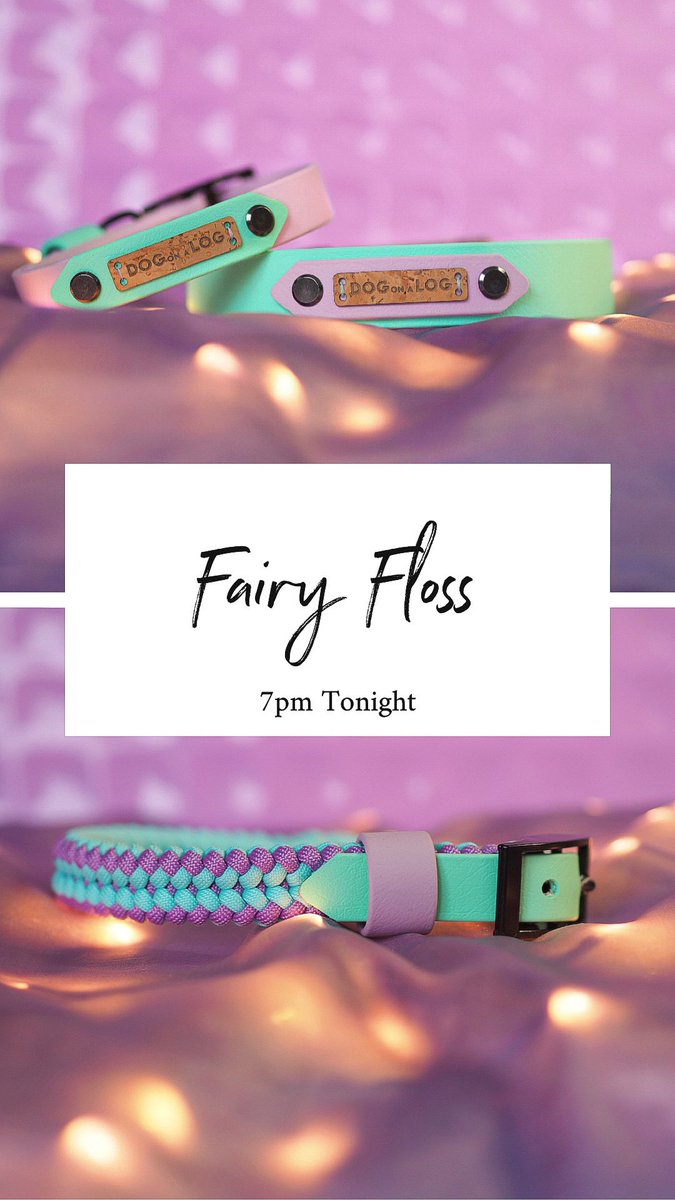 Dog on a Log UK tweet media