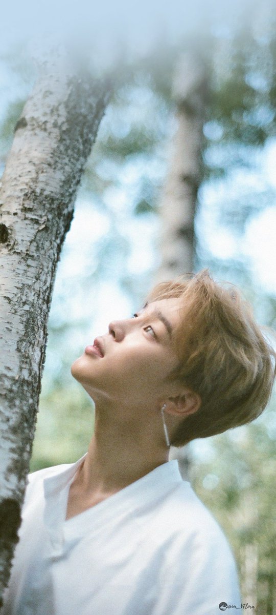 im_vflora's tweet photo. [ Maknae Line ]  Season's Greetings 2019 Wallpaper &amp; Lockscreen

I vote #Butter for #BestMusicVideo at the 2022 #iHeartAwards 

#BTS #BTSWALLPAPER 
#JIMIN #TAEHYUNG #JUNGKOOK
#VFlora https://t.co/Ped27h5ETB
