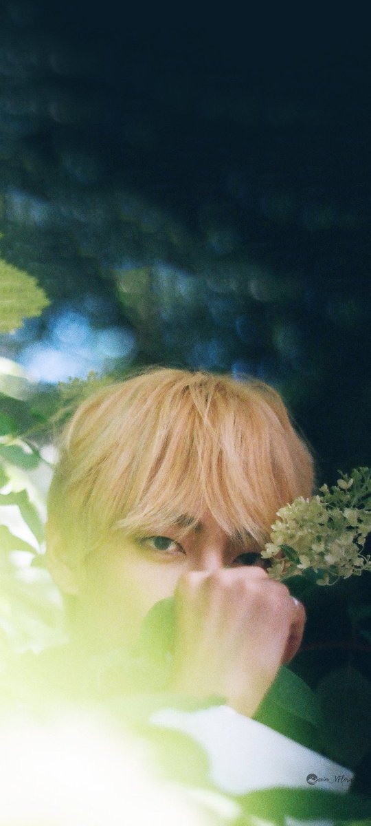 [ Maknae Line ]  Season's Greetings 2019 Wallpaper &amp; Lockscreen

I vote #Butter for #BestMusicVideo at the 2022 #iHeartAwards 

#BTS #BTSWALLPAPER 
#JIMIN #TAEHYUNG #JUNGKOOK
#VFlora