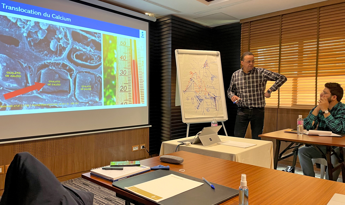 StollerEurope's tweet image. El equipo comercial de Stoller Europe visitó a nuestro cliente en Túnez, NUTRIPLANT, con quien compartió una jornada de formación técnica. 

#ThisIsStoller #ThisIsKnowledge #ThisIsCustomer
#EmpoweringPlantsEmpoweringPeople