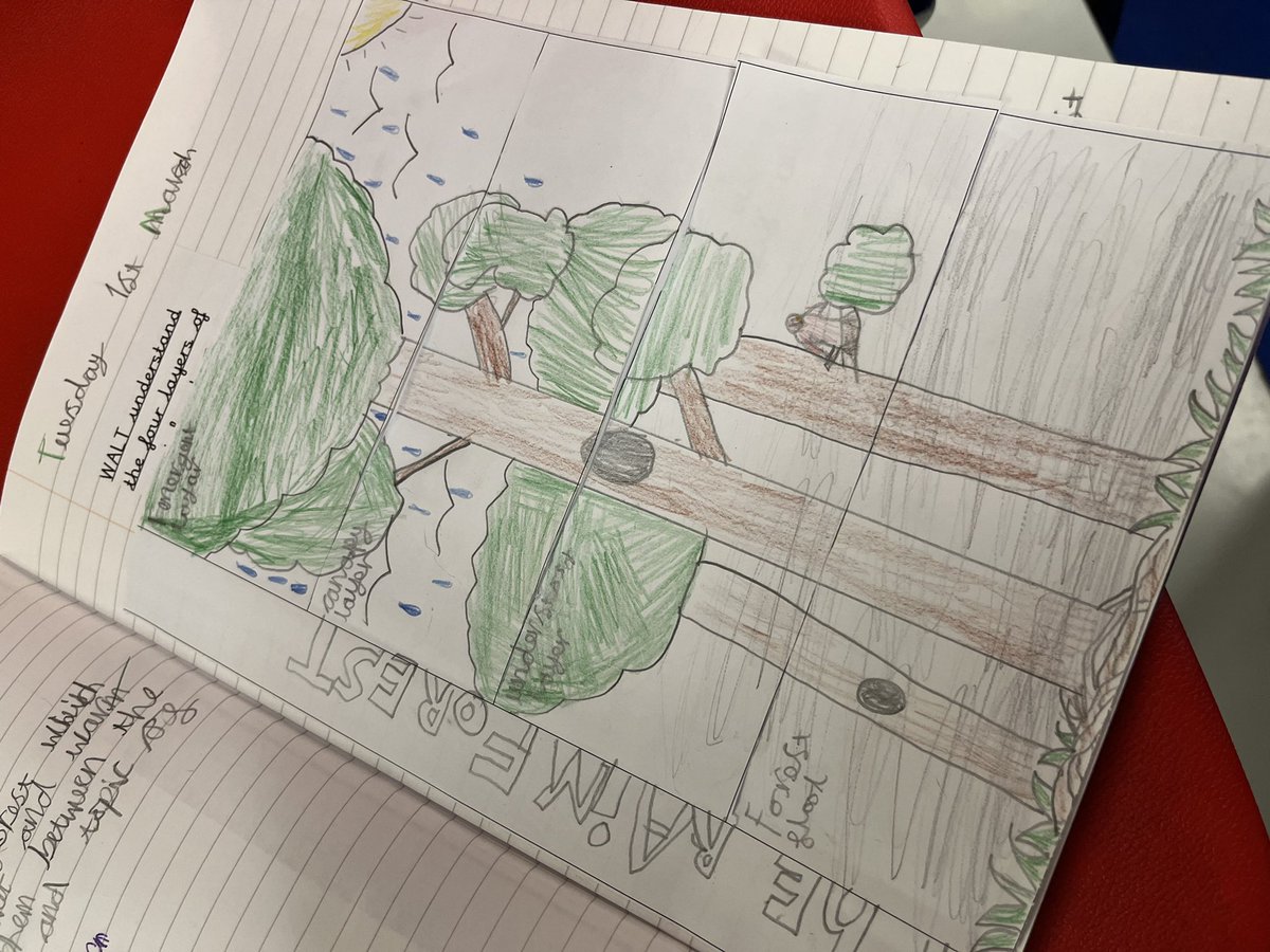 MissLumm's tweet photo. Year 4 have been learning about the layers of the rainforest. Look at these amazing flap books that they have made to demonstrate their knowledge. @MapleCrossJMI https://t.co/fvzx12j7CR
