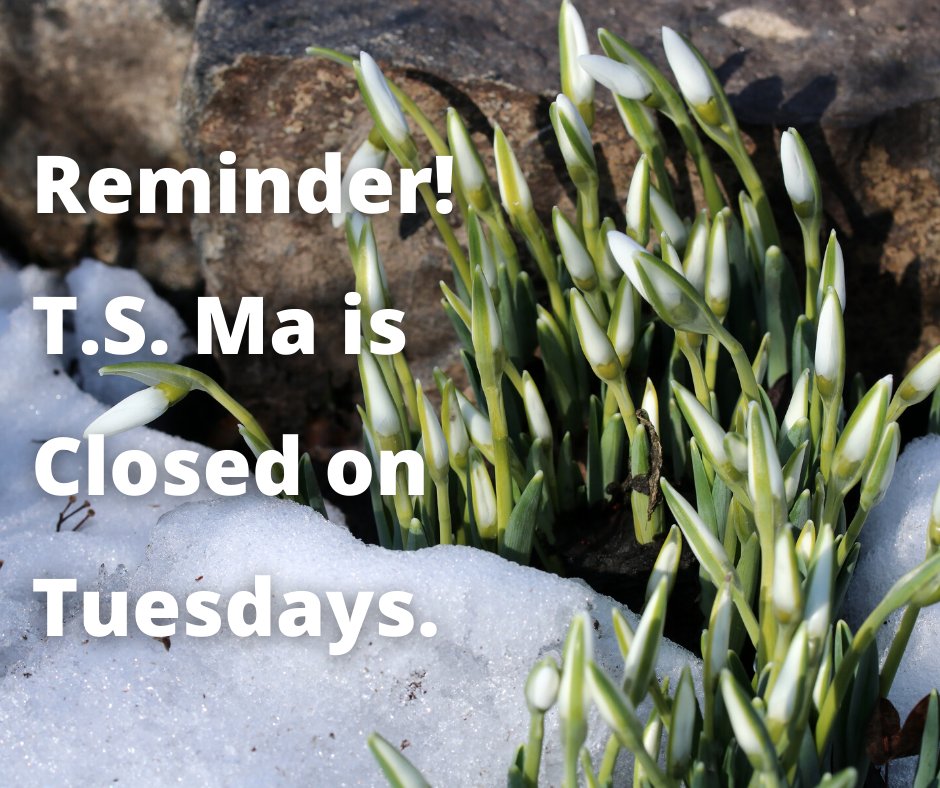 T.S. Ma Chinese tweet media