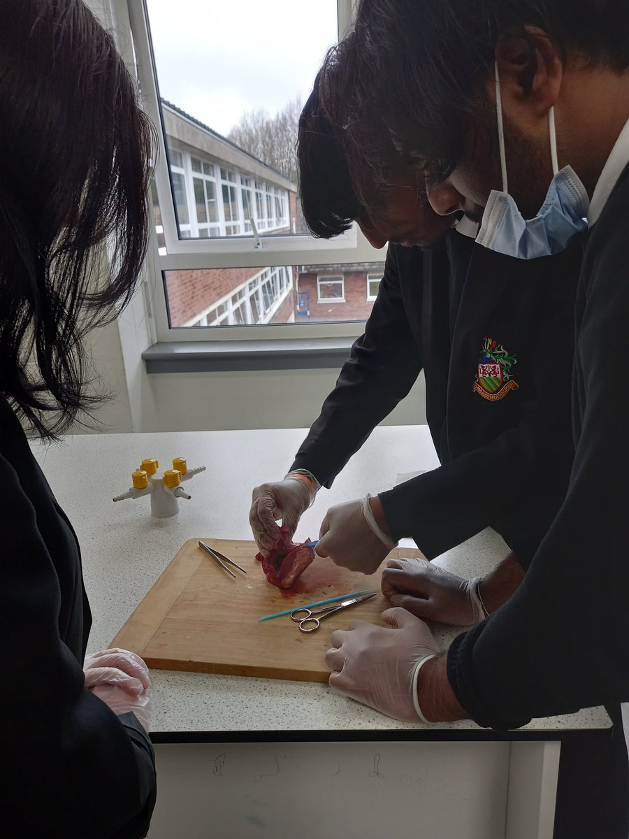 St_Ignatius's tweet photo. Students did an in-depth heart dissection and learnt all about the electrophysiology of the heart. #ambitionprogramme #cardiologist #AMDG https://t.co/KyqiZMe2yr