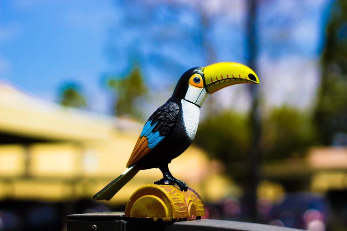 DJCVISION tweet media