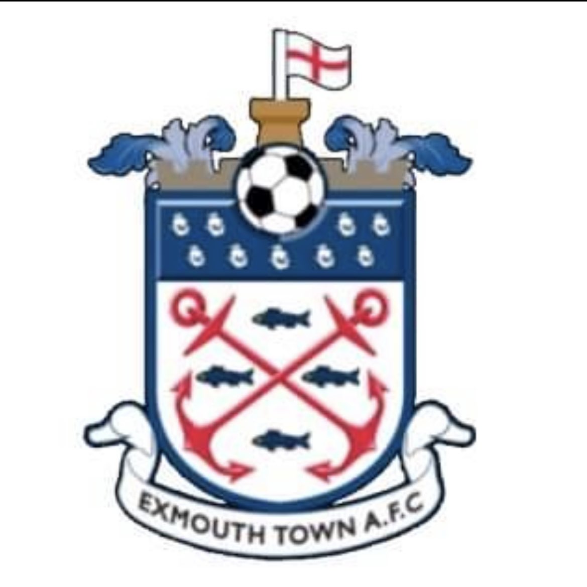 Exmouth Town FC tweet media