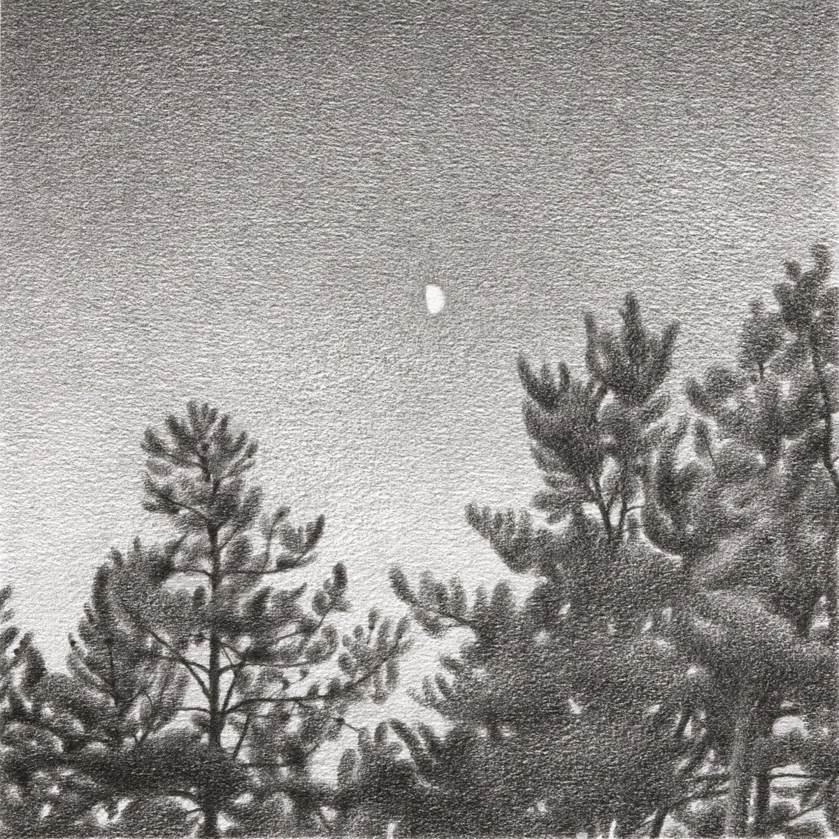 김목요 tweet media