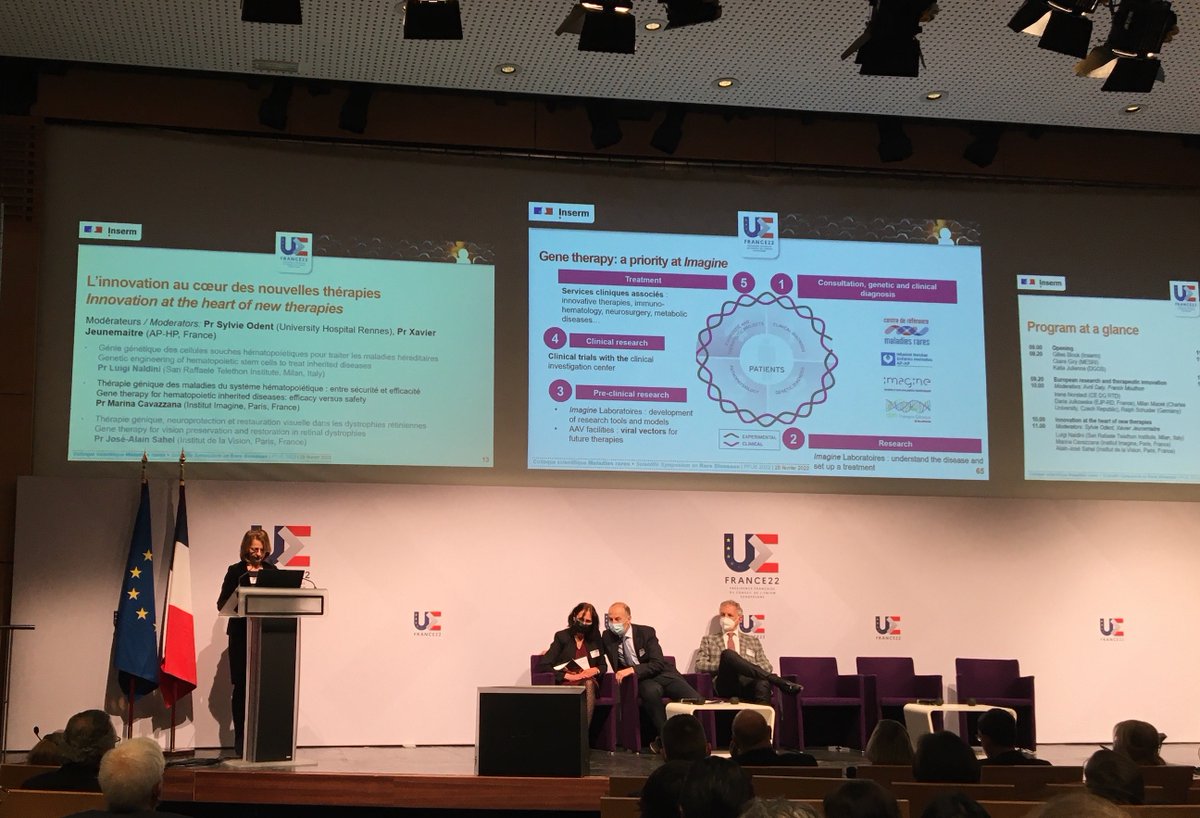 Hier, 28 février, la Pr Marina Cavazzana <a href="/InstitutImagine/">Institut Imagine</a> <a href="/hopital_necker/">Hôpital Necker AP-HP</a> en pleine conférence sur les thérapies géniques <a href="/Sante_Gouv/">Ministère de la Santé</a> lors de la Journée Internationale des #MaladiesRares Une priorité européenne ! #GeneTherapy