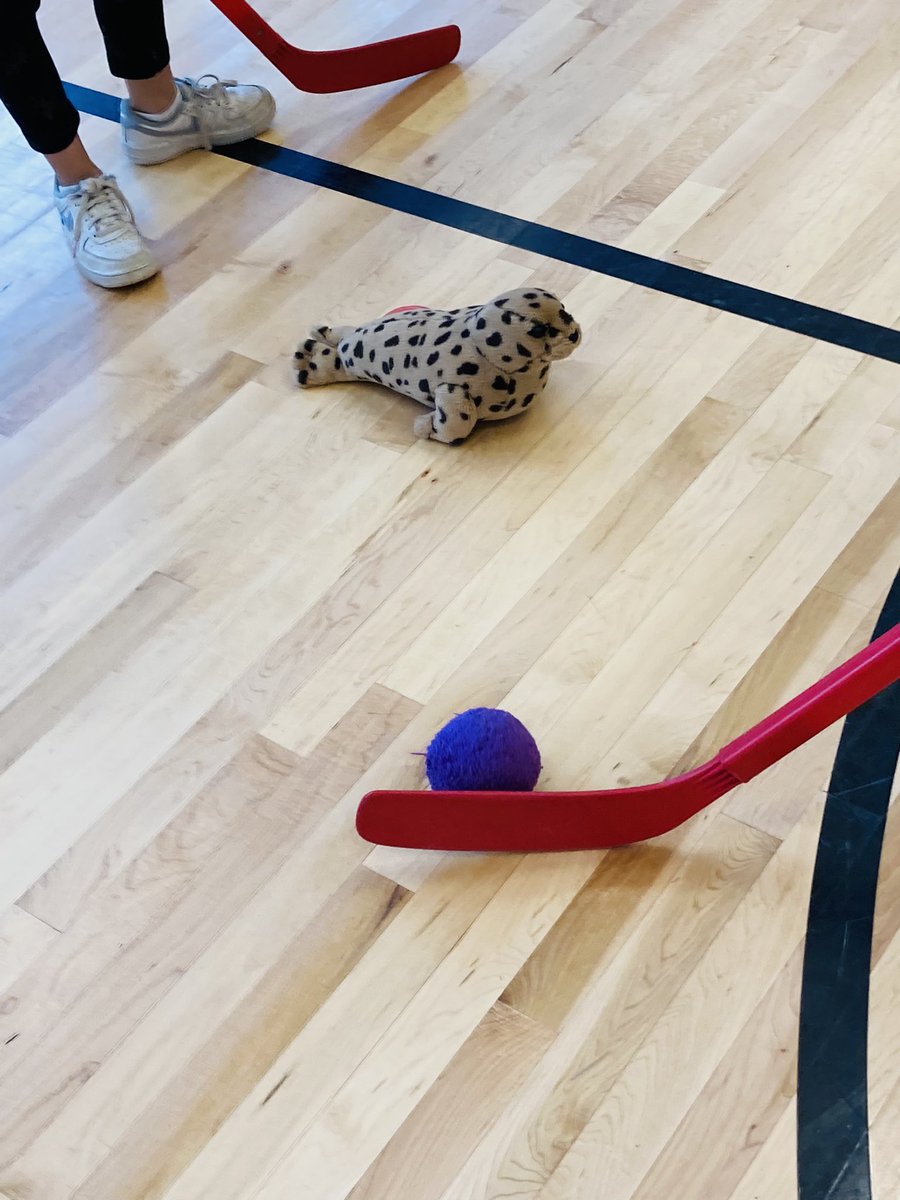 motionfunction's tweet photo. “Feed the Animals” hockey dribbling activity, K-2. Dribble and lightly pass yarn balls to all the stuffed animals scattered. https://t.co/UHVFAYcj2k