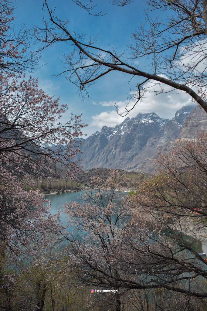 AxlamShiGri's tweet photo. 🌸🌿
SPRING SEASON 
📍Upper Kachura Lake Skardu 
.
#springiscoming #springblossoms #skardu #GilgitBaltistan #GalaxyS22 #BeautifulPakistan #SamsungPakistan https://t.co/8zXhhEvyMX