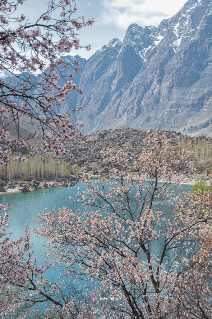 AxlamShiGri's tweet photo. 🌸🌿
SPRING SEASON 
📍Upper Kachura Lake Skardu 
.
#springiscoming #springblossoms #skardu #GilgitBaltistan #GalaxyS22 #BeautifulPakistan #SamsungPakistan https://t.co/8zXhhEvyMX