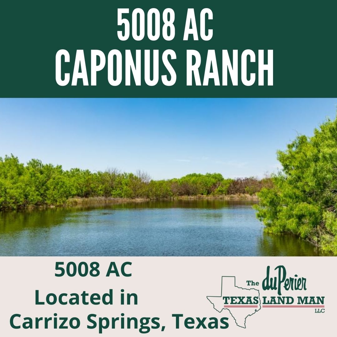 duPerierTLM's tweet photo. 5,008 ac Caponus Ranch - 
Land: The Caponus Ranch is comprised of 5,008 high-fenced acres. Located approximately 8 miles S.W. of Carrizo Springs, Texas in the heart of the Golden Triangle. Visit https://t.co/jPzQgvJKZv #ranch #hunting #huntingranch https://t.co/sZLyh9cPIK