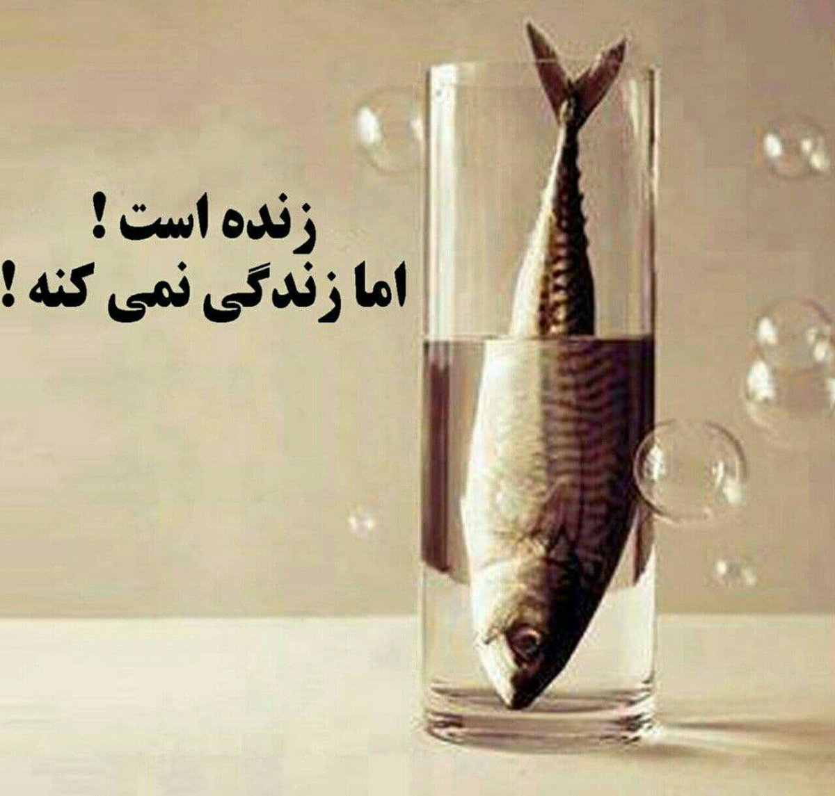 farida71929808's tweet photo. https://t.co/DmaxE45OBN