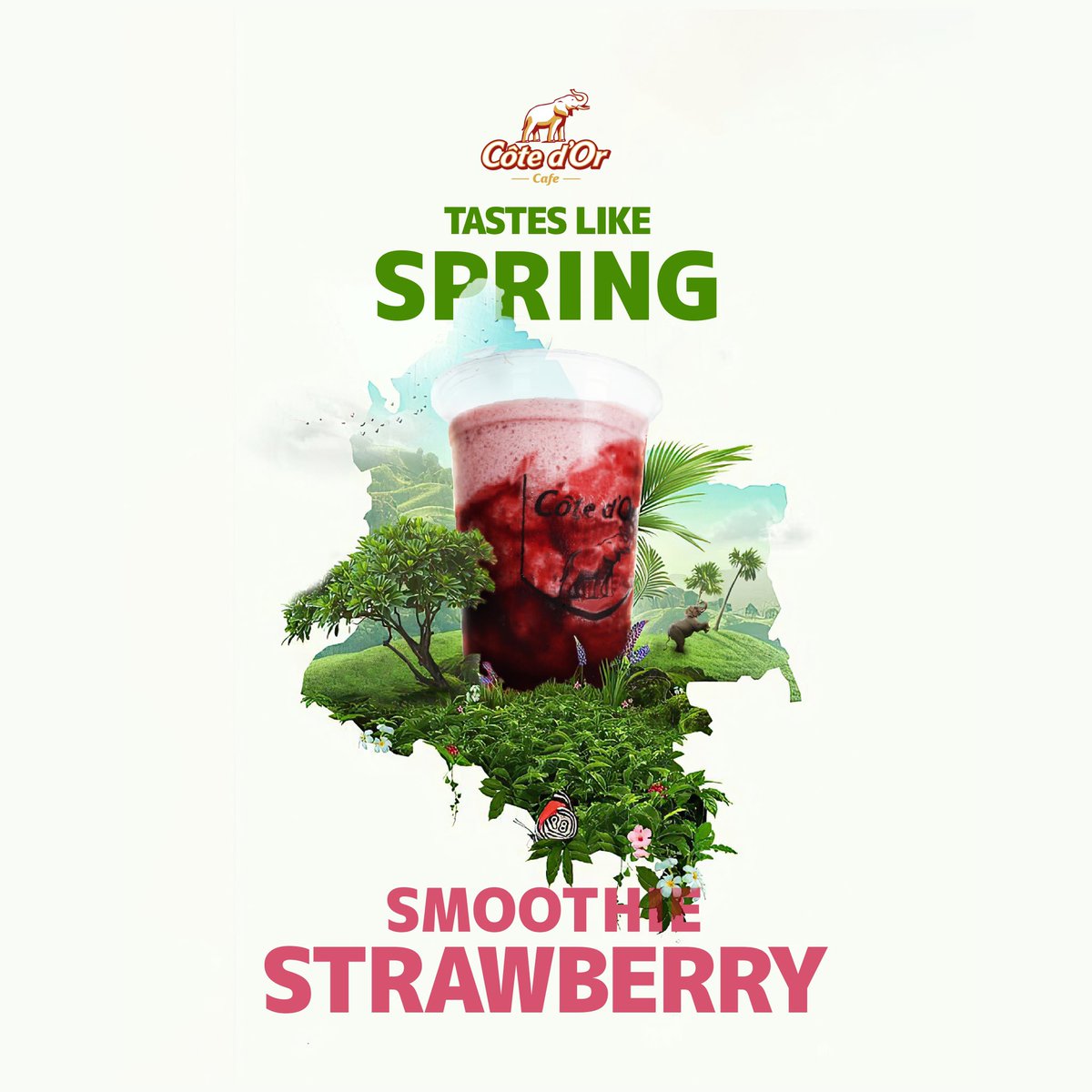 CoteDorCafe's tweet photo. Tastes Like Spring 🌿✨
في الأجواء الربيعية حتحتاج لمشروبات طبيعية طازة تبرد عليك وتعيش معاها طعم الانتعاش الحقيقي 😋 

في كوت دور كافيه وفرنا أكثر من صنف للمشروبات والفواكه الطبيعية الميلك شيك والسموذي والفروبي 🥤
جربهم وأختار لي يناسب طول فصل الربيع 🌿🐘✨ https://t.co/hSKiHUyOuW