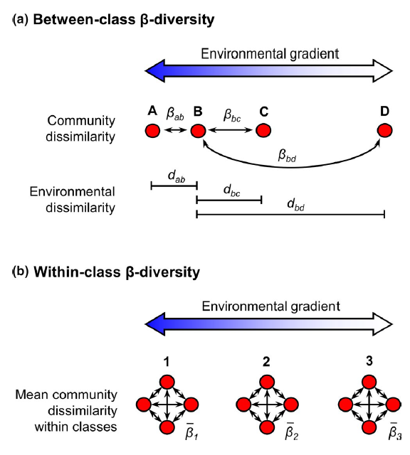 JBiogeography's tweet photo. How do differences in species composition between sites, β-diversity, change in habitats ordered along environmental gradients and how do such changes vary with species relative abundances? 🪲🌲

https://t.co/BIdrLPnB9D https://t.co/gLNjpoUN6F