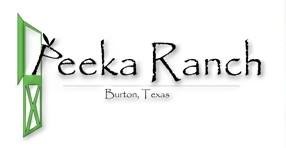 Do you live in Texas check out <a href="/PEEKA/">peeka</a> RANCH they have a wide selection of Norlander Alpaca socks! their address is  13350 FM389, Burton, TX 77835 or call them and make an appointment to stop by and check out their inventory at 713-857-1461