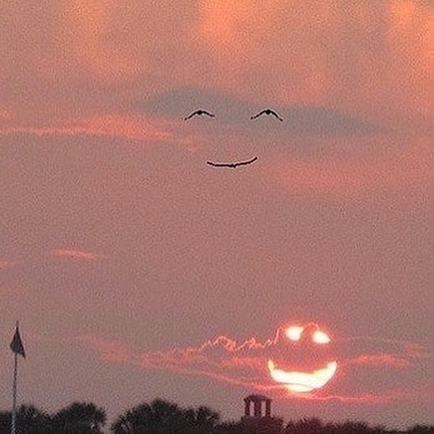 ARTIFAXING (@pedestrian) on Twitter photo 