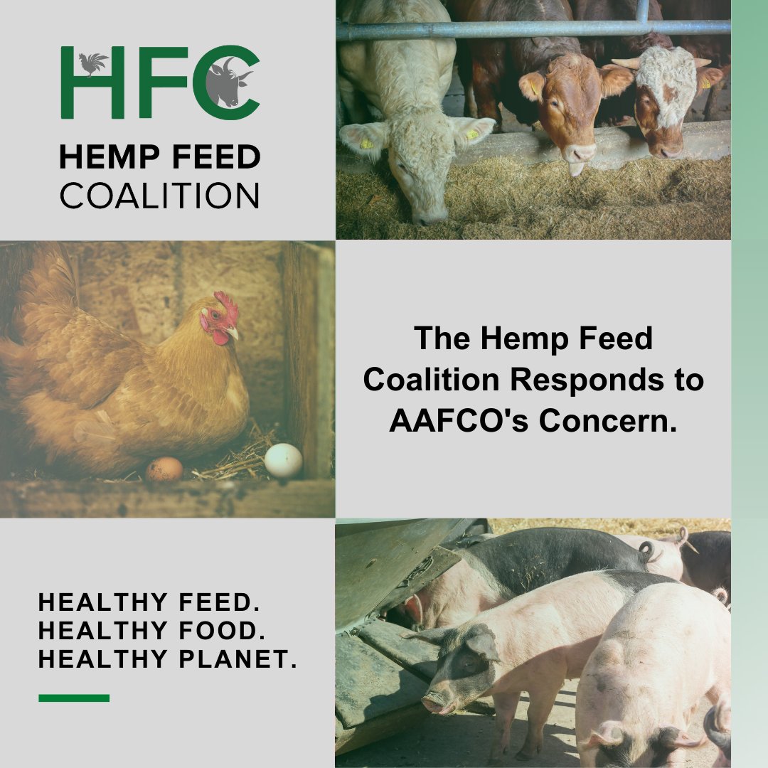 HFC responds to AAFCO’s letter of concern regarding the use of hemp in animal feed: a recent release paints the hemp industry with an overly broad brush, conflates hemp grain with cannabinoids, and sets back years of progress.

Full Release: hempfeedcoalition.org/2022/02/28/aff…

#hempinfeed