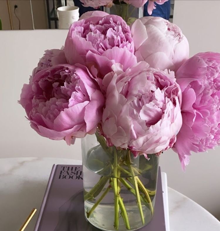 madeoflavenderr's tweet image. all about flowers in march💐✨