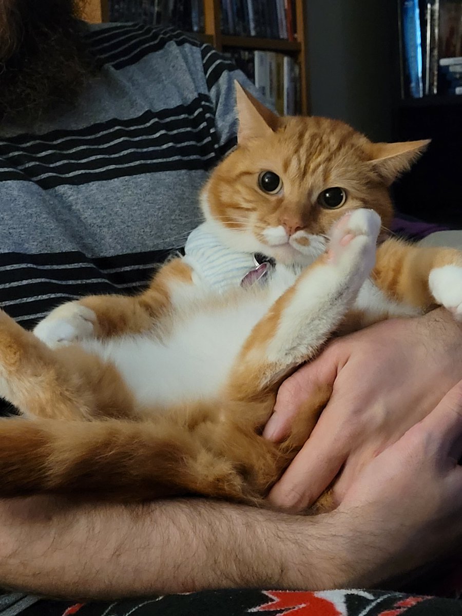 CatNotFrog's tweet image. sitting with dad