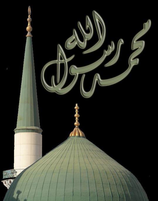 من خطبة السيدة الزهراء عليها السلام ..
وكنتم على شفا حفرة من النار، مِذْقَة الشارب ونهزة الطامع، وقبسة العجلان، وموطئ الأقدام، تشربون الطرق، وتقتاتون القدّ، أذلة خاسئين صاغرين، تخافون أن يتخطفكم الناس من حولكم، فأنقذكم الله تبارك وتعالى بأبي محمدٍ

#المبعث_النبوي_الشريف