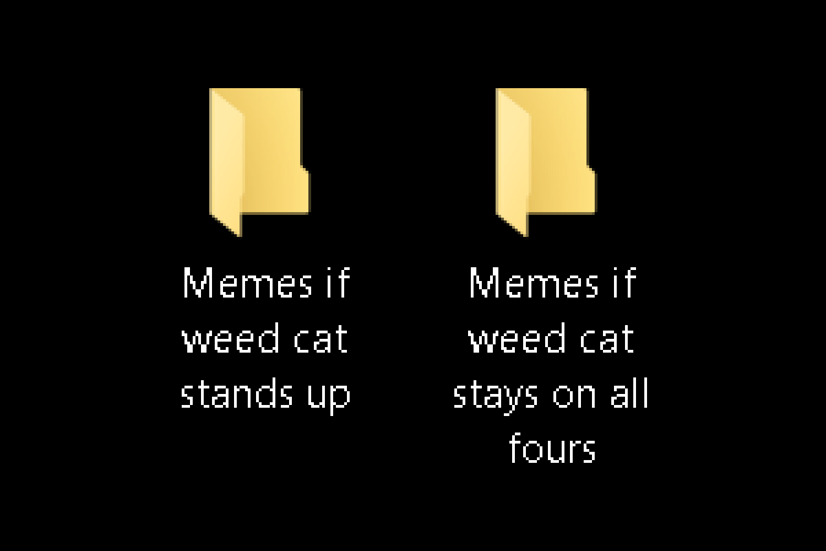 ContentlyF's tweet image. #PokemonScarletViolet #Sprigatito