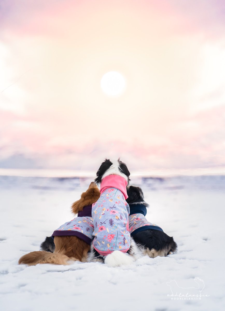 Jessie & Lala Kraan tweet media