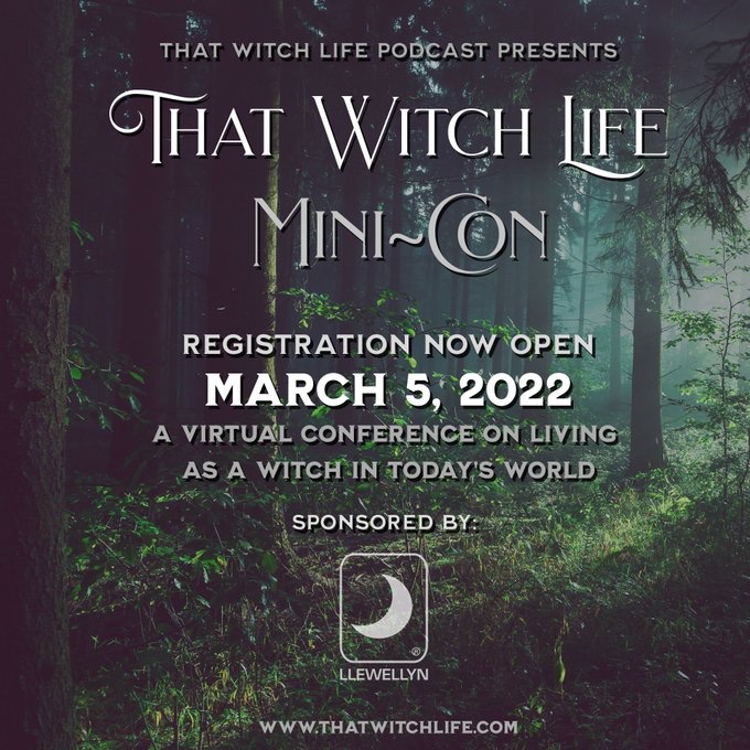 Stephanie Bird tweet media