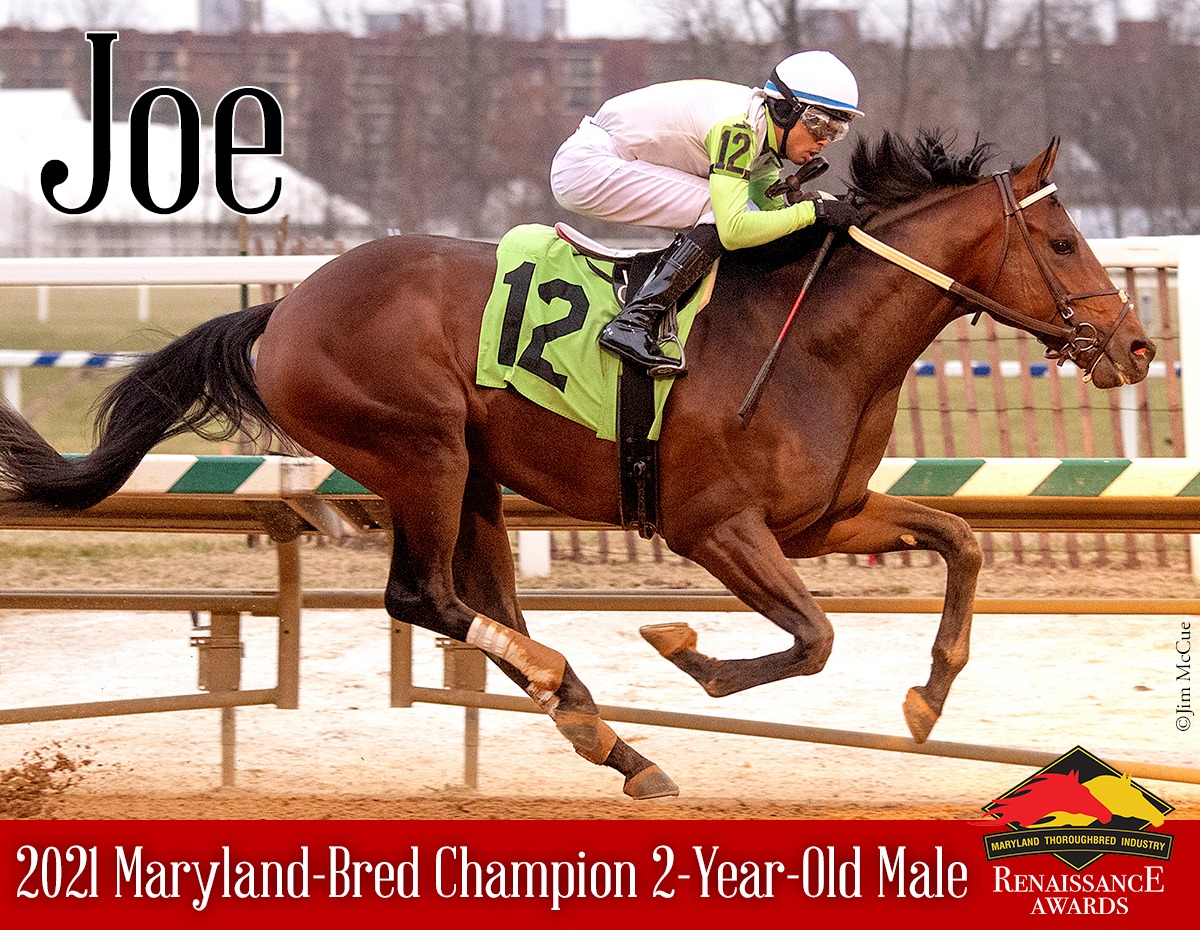 It’s JOE, the 2021 MD-bred 2YO Champ. Trained by @trombetta_mike and broken by @djfreyer. A special thanks to Bobby & Michelle at C-Dog Farm for foaling him and Bev @windhamhillfarm for raising him. #MDBred @MarylandTB @Laurelpark @stuartmgrant @camdentraining1