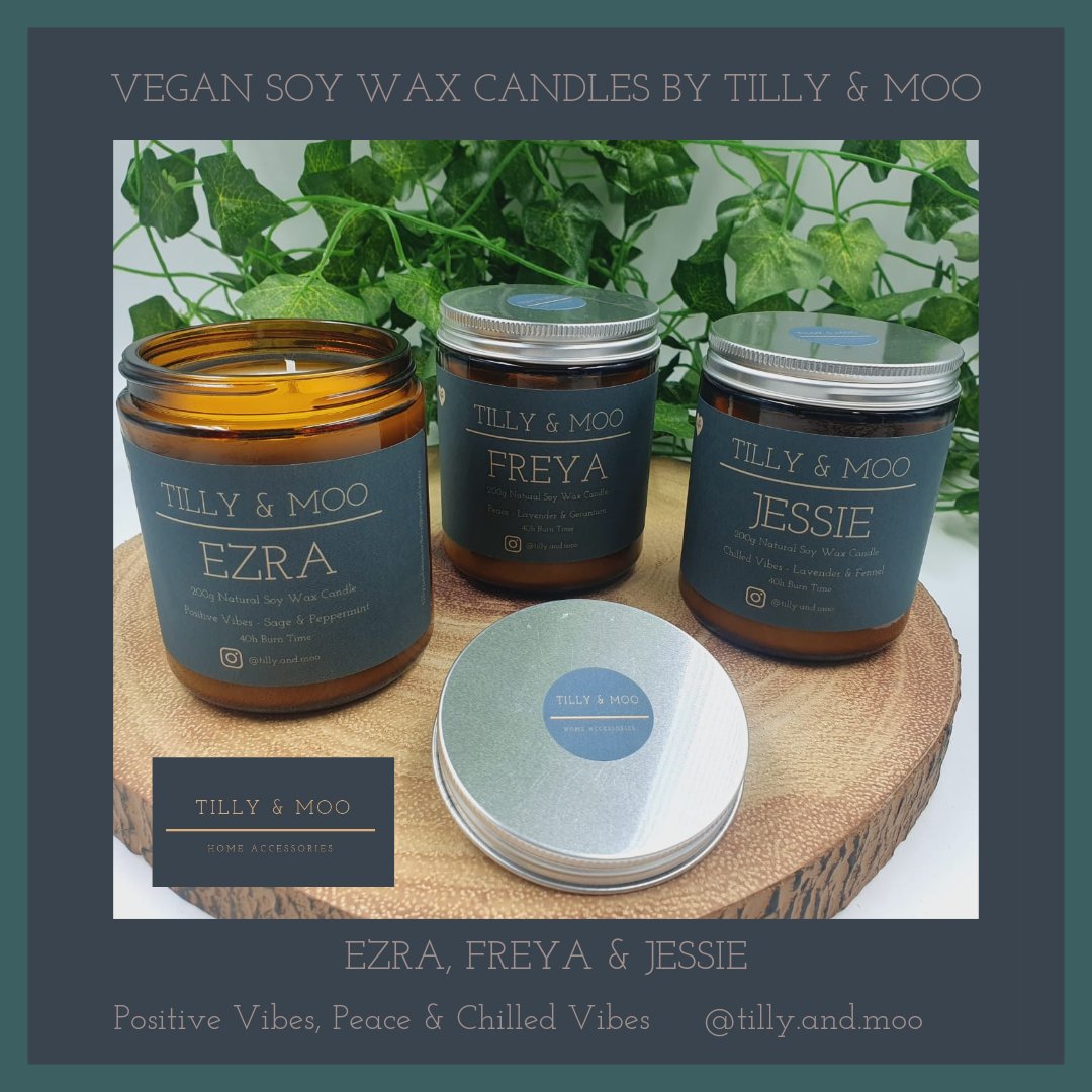 Check out Tilly &amp; Moo #instagram page for their new collection of 
#vegans Soy Wax #aromatherapy #Candles 🌈☮️🧘🏼‍♀️