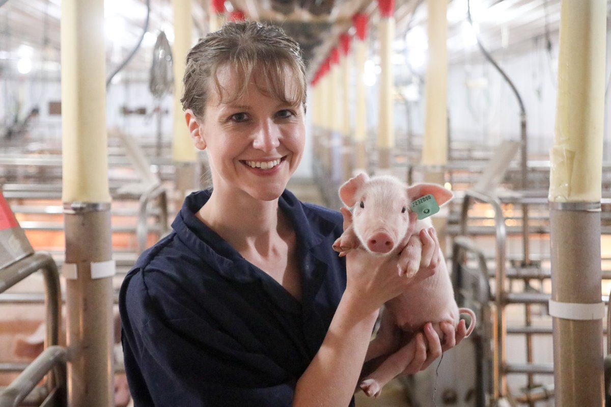 Choice Genetics tweet media