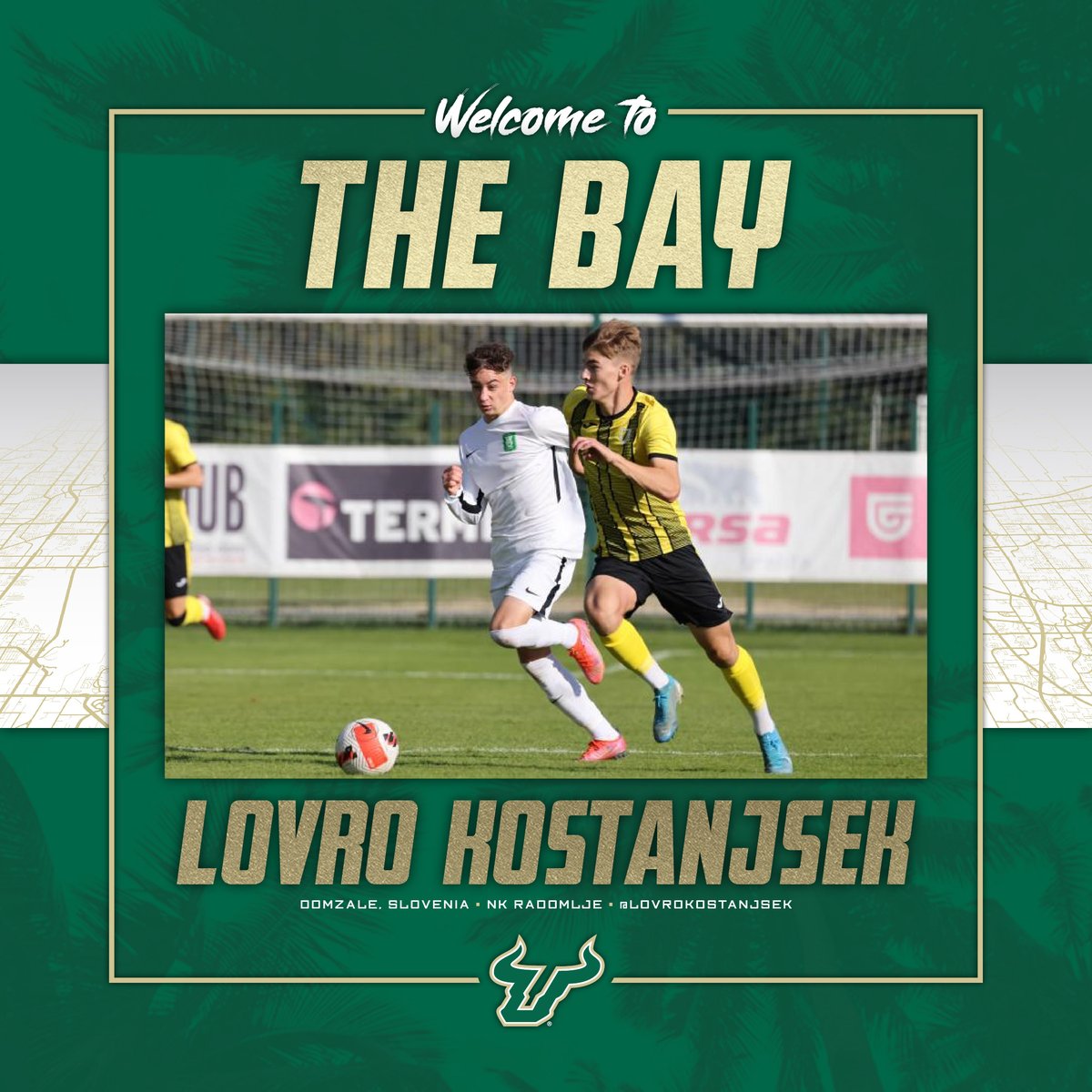 USFMSOC's tweet photo. Another big-time signing by the Bulls. Welcome to the family, Lovro Kostanjsek‼️ 🇸🇮

#HornsUp🤘 #Bullieve https://t.co/PRuW1IPnkp