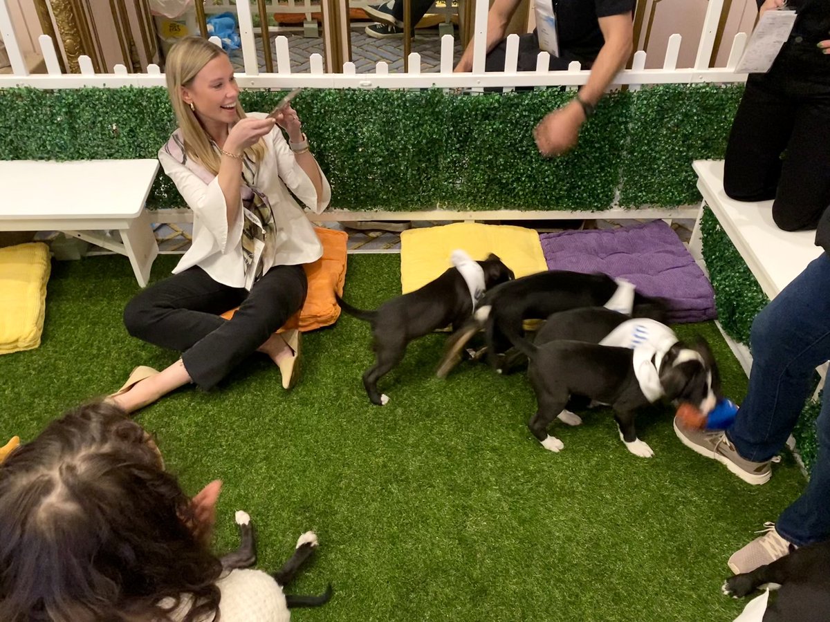 RampUp's tweet image. In need of a midday break? Don’t miss your chance to get in some puppy cuddles – stop by to visit the RampPups in the Vanderbilt Room at #RampUp22! 🐾 ramp.click/ramppups-tw

Thank you @WilandInc for sponsoring!