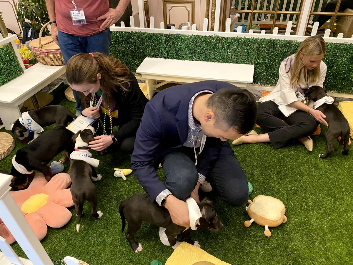 RampUp's tweet image. In need of a midday break? Don’t miss your chance to get in some puppy cuddles – stop by to visit the RampPups in the Vanderbilt Room at #RampUp22! 🐾 ramp.click/ramppups-tw

Thank you @WilandInc for sponsoring!