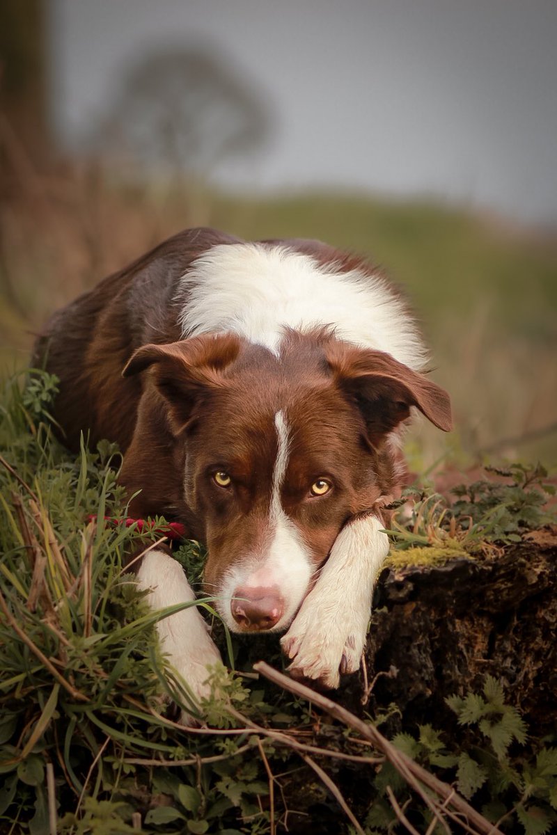 Murphy & Fly tweet media