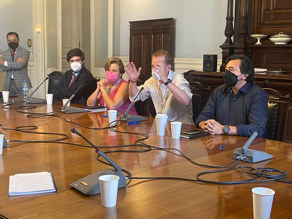 Hoy nos reunimos con la Comisión de Venecia, órgano internacional que está compuesto por expertos #Independientes en derecho constitucional. En la reunión, pudimos comentarles como se ha desarrollado el proceso constituyente en nuestro país #TepperTeInforma