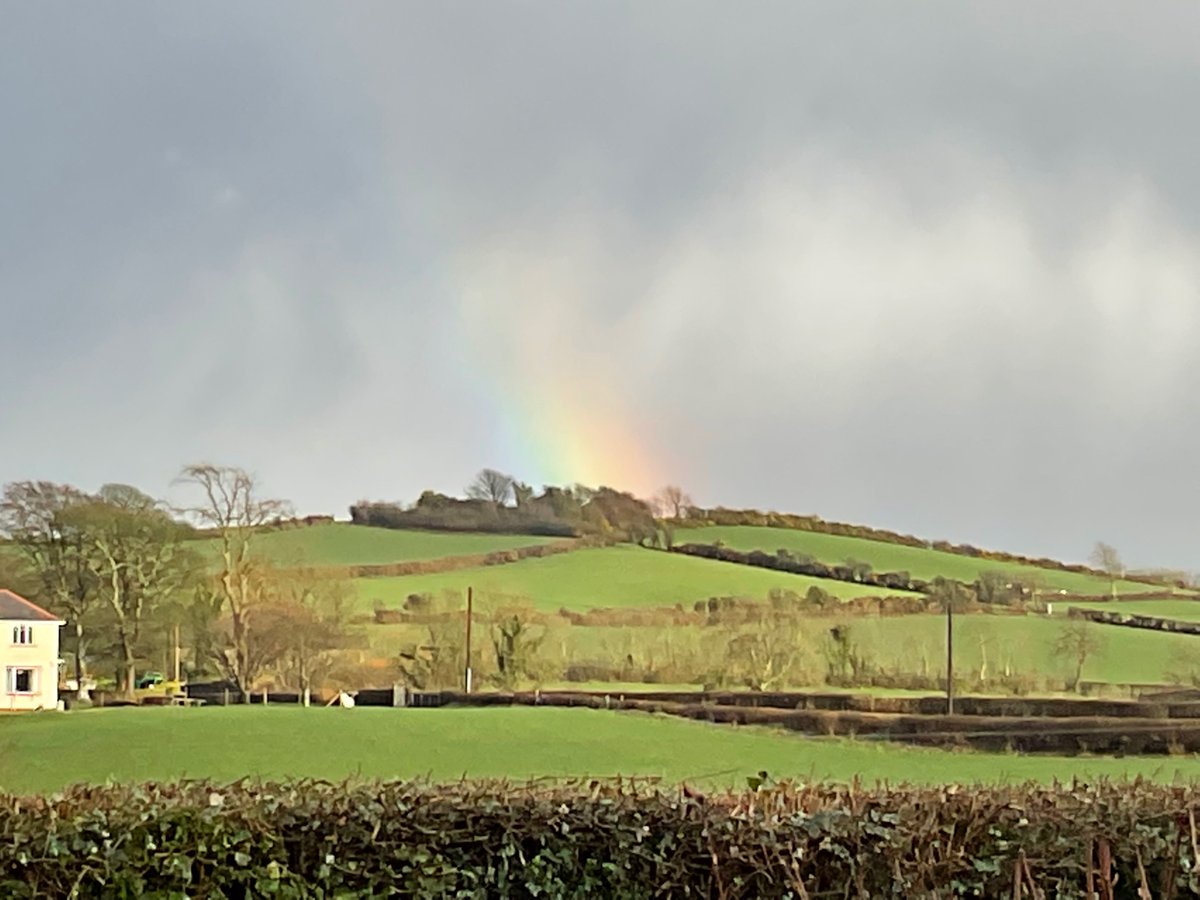 HomesteadPost's tweet photo. @TracyJai @looplinefilm @moonlookson @aidanLooney3 @karenbellamusic @FrankiLoveMusic @CorinnaSwara @FinbarFurey @furey_aine @katietheasby @StaceyZmusic @BladderackWex @andyk_irvine @thelostbrothers @clareoriordan1 

Support Amazing Artists @bandcamp
#BandcampFriday 4/3/22 https://t.co/stI74OGomN