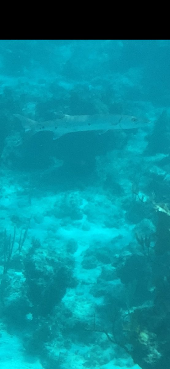 James McKeel tweet media