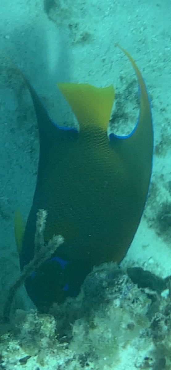 James McKeel tweet media