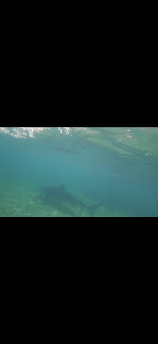 James McKeel tweet media