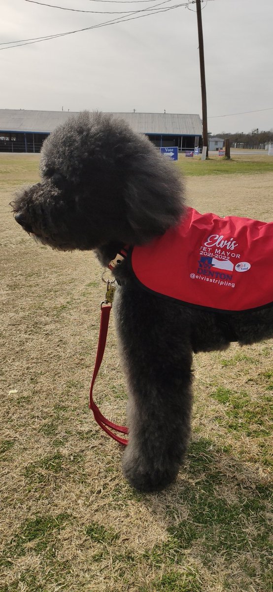 Giovanni Delgadillo tweet media