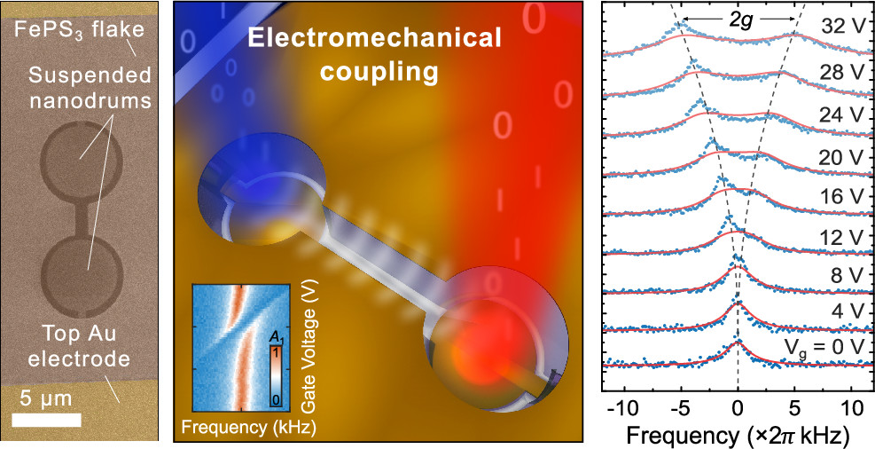 NanoLetters's tweet photo. Researchers from @TUDelft and @ICMol_UV present a tunable coupling mechanism between magnetic 2D material membranes for transferring mechanical energy and bits over a distance at a low electrical power. https://t.co/zGelFpqmPz /#NLAR https://t.co/y95loeGM3W