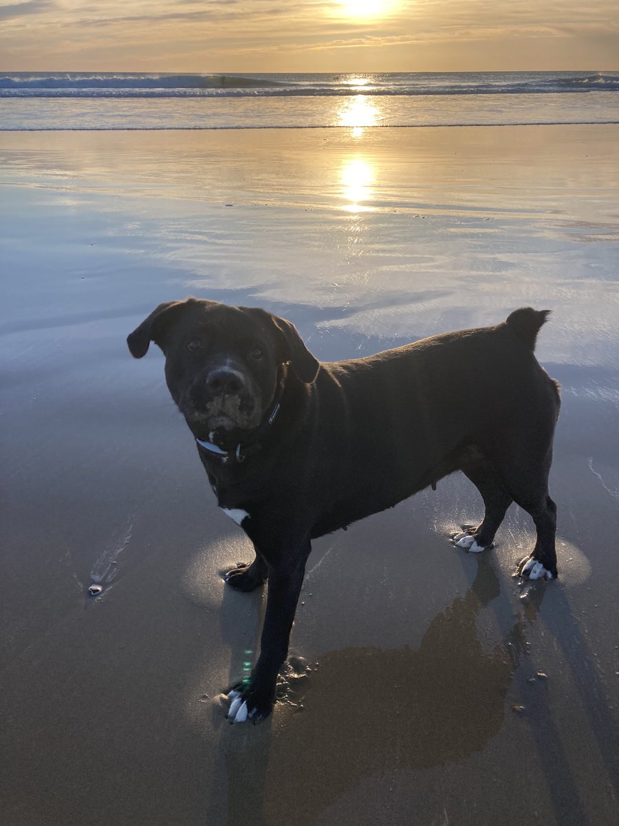 gissgnzlez's tweet photo. Rt a la Carlota de la suerte para que este verano vayáis mucho a la playa🥰🥰 https://t.co/3QQbLcqWoh