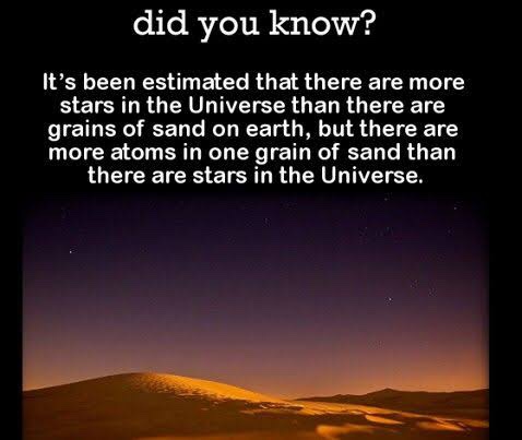 FunFacts0753's tweet photo. FUN FACT #11 https://t.co/4Rwi1VaKG8