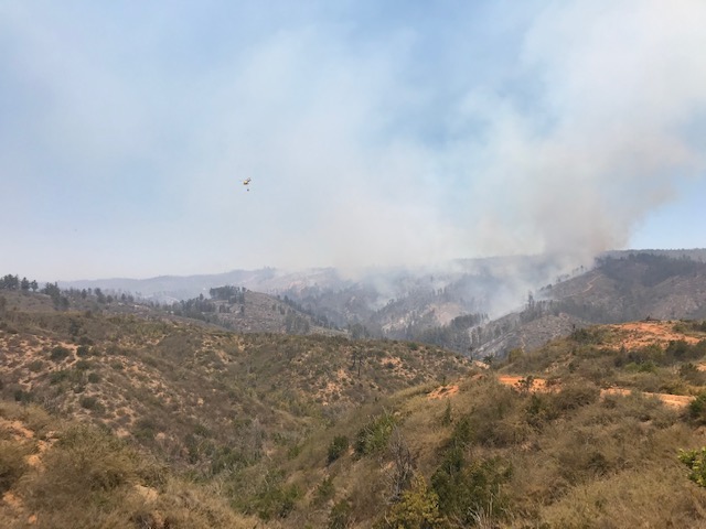 Ministra <a href="/MinagriCL/">Ministerio de Agricultura de Chile 🇨🇱</a> <a href="/meryundurraga/">M. Emilia Undurraga</a> en #Rodelillo realizó monitoreo y coordinación de labores #combate <a href="/conaf_minagri/">CONAF - Corporación Nacional Forestal</a>  #IncendioForestal #LomaNegra3 #Valparaíso.  
Junto a <a href="/DPRValparaiso/">Delegación Presidencial Regional Valparaíso</a> SEREMI <a href="/MinagriValpo/">Seremi de Agricultura Valparaíso</a> <a href="/Htolepet/">Humberto Lepe Tarragó</a>  director #ConafValparaíso #Onemi #BomberosValpo 
#AlertaRoja
