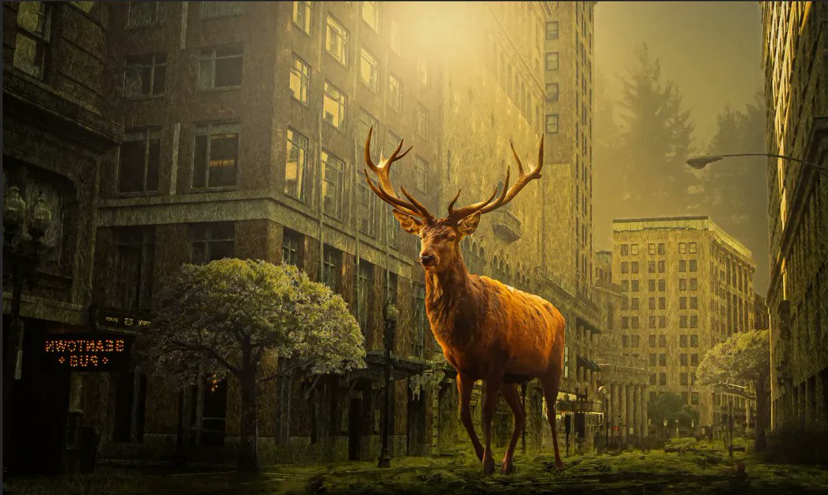 BeamDes1gn's tweet photo. Let me know what you guys think of this one! #GraphicDesign #graphicdesigner #deer #apocalypse #digitalart #lovedoingthis https://t.co/Jqkv3ANtYX