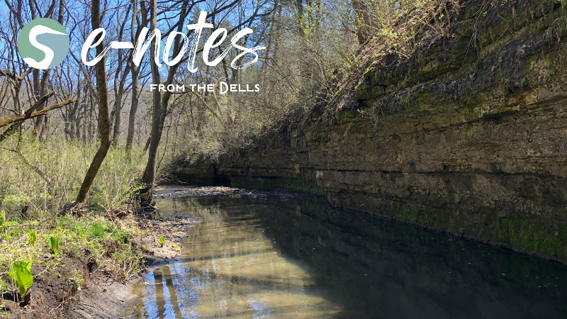 Severson Dells Nature Center tweet media