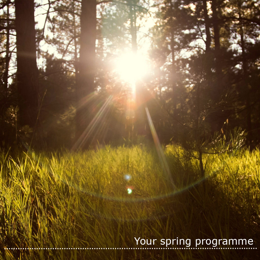 WeledaUK's tweet photo. At Weleda we always encourage a gentle #springcleanse. Our three-step plan includes #bodybrushing, a Birch Oil #massage and a Birch Juice for #innercleansing. Look up the full seasonal Spring programme in Natural Wellness Every Day - The Weleda Way. https://t.co/5SKDOf98c9 https://t.co/cWDzRgZxdV