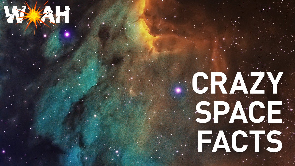 Portable.TV App: TV as it should BE. tweet media